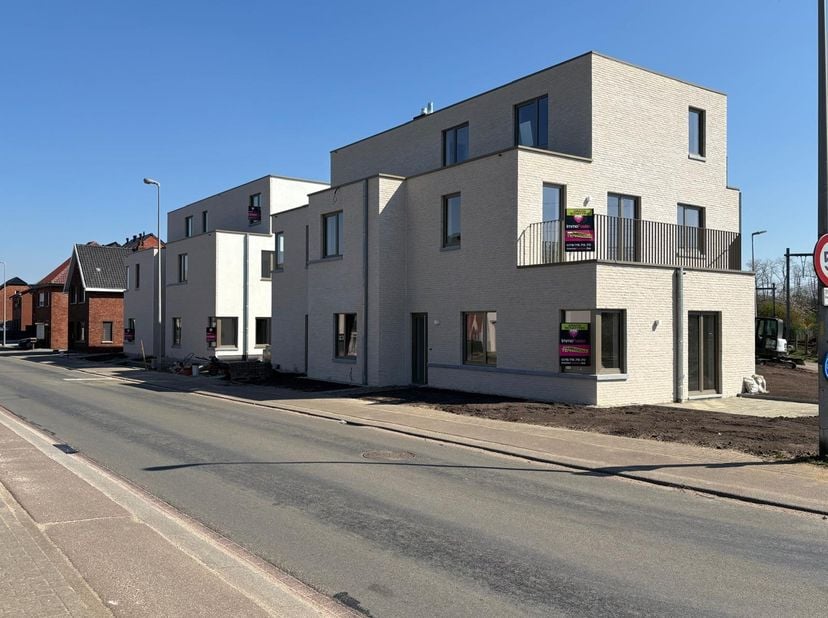 Edward Staintonstraat 4 3550 Heusden
