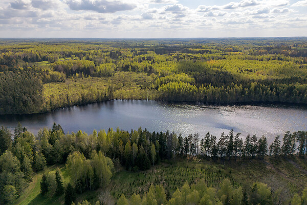 plot for sale, land-profit land - Heisri, Kanepi vald, Põlvamaa