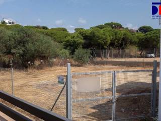 Palos de La Frontera,  ES