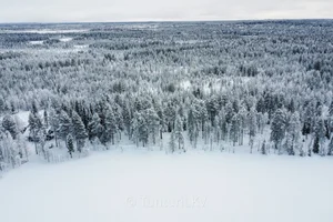 Kalettomantie, Iso Kaleton, Taivalkoski