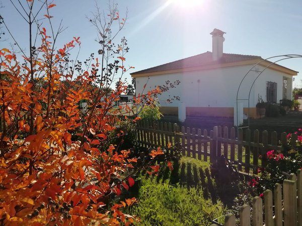 Carmona,  ES