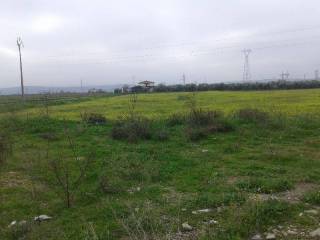Montilla,  ES