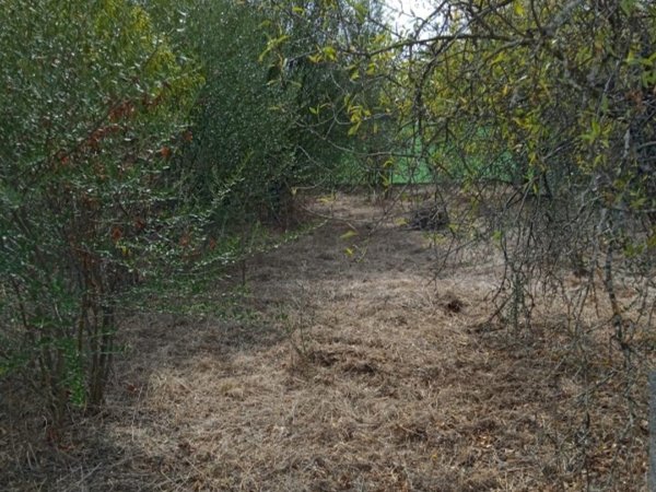 Almodovar del Río,  ES