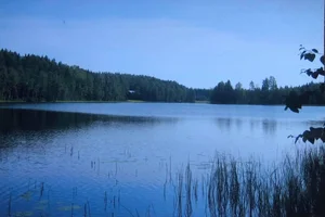 Köntintie 248 A, Päijälä, Kuhmoinen