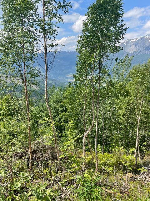 TODALEN 29, Voss