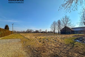 Kaniów