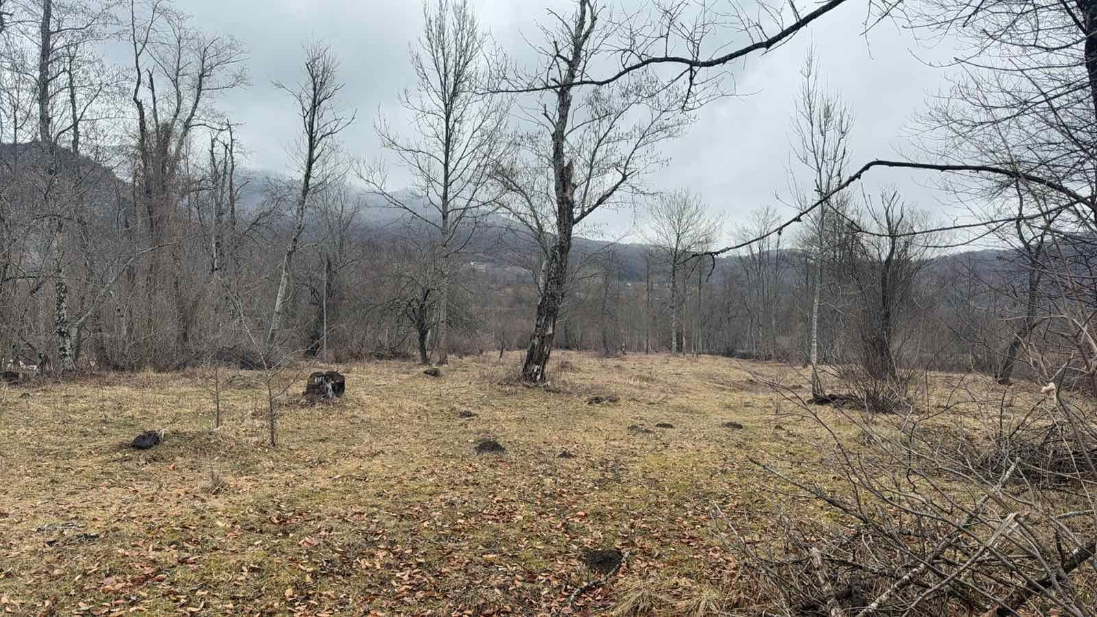 Northern Region, Kolasin