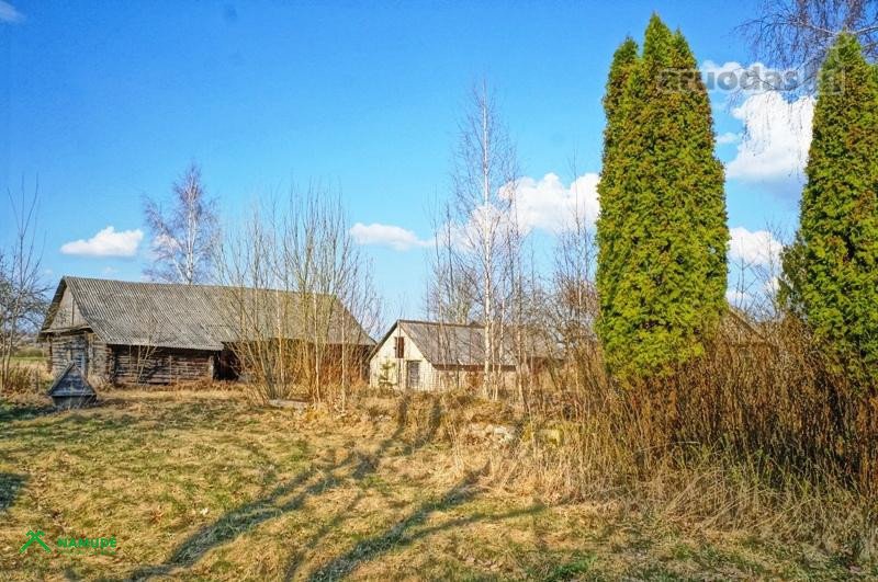 Ignalinos r. sav., Salomenkos k. Liepų g.