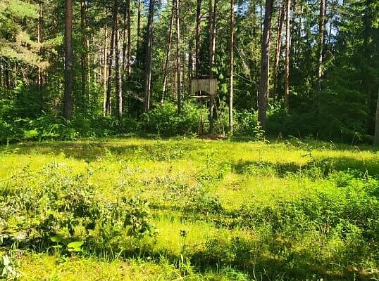 Ida-Virumaa, Narva-Jõesuu, Narva-Jõesuu linn, Piiri tee 11