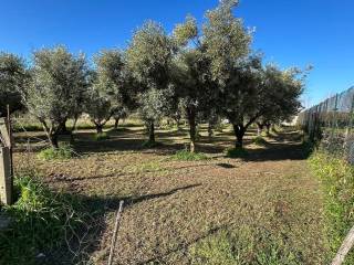 Lamezia Terme,  IT