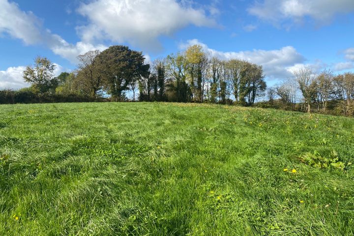 Palmyra, Mullagh, Co. Cavan
