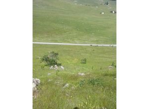 Savnik, Gornja Bukovica