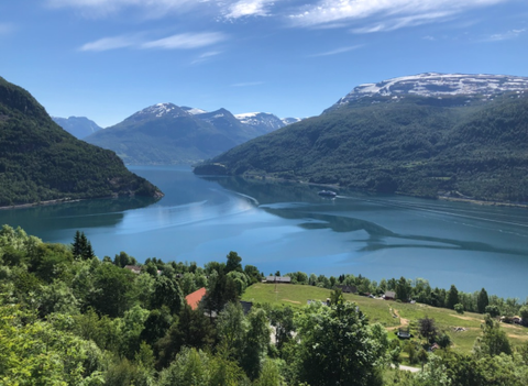Stryn