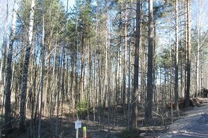 Kurrenkuja, Suulisniemi, Kotka