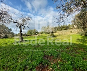 Santa Bárbara de Nexe,  PT