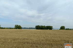 Wolin