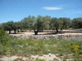 Canet Lo Roig,  ES