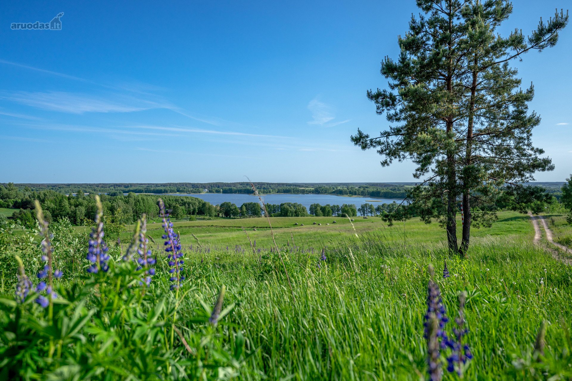 Trakų r. sav., Glitų k.Šlaito g.