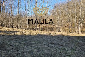 Głogoczów