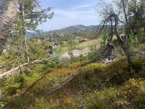 Toreskyrkjavegen 159, Rjukan