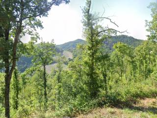 Urbino,  IT
