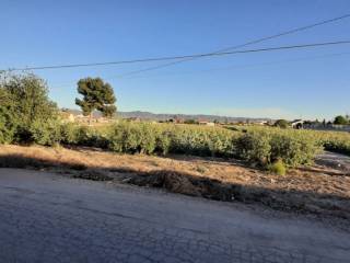 Lorca,  ES