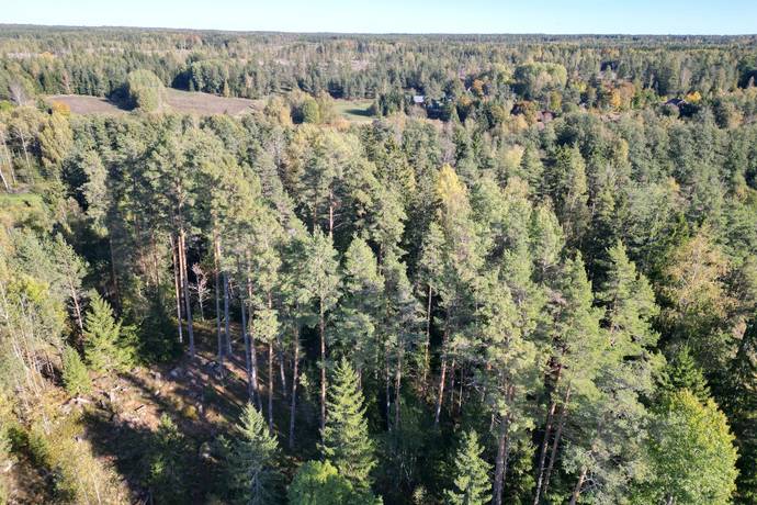 Skebobruk Norrtälje, Norrtälje kommun
