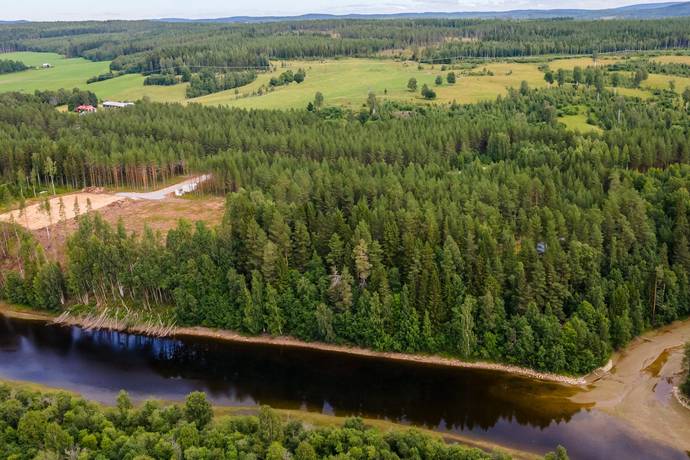 Vännäs, Vännäs kommun