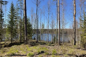 Majaniementie, Pihlajalahti, Ruovesi