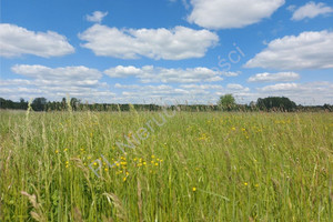 Łaziska