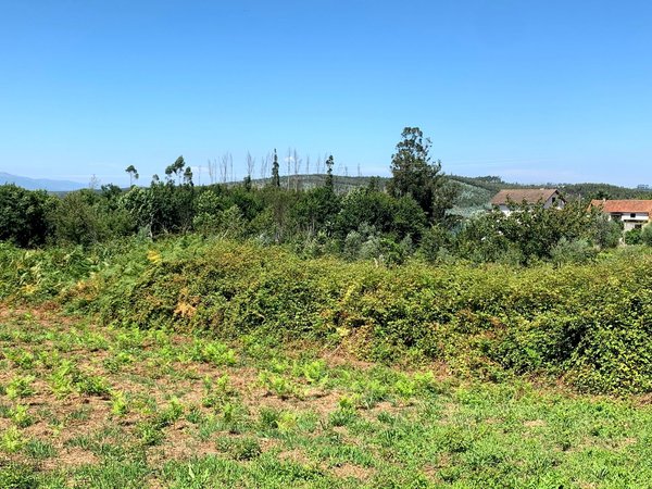Mortágua,  PT