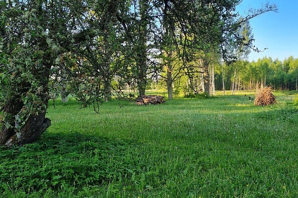 Põlvamaa, Põlva vald, Mustakurmu
