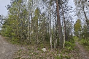 Pykälistöntien tontti, Anianpelto, Asikkala