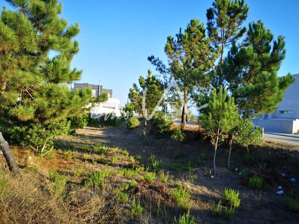 Vila Verde,  PT
