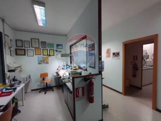 Campobasso,  IT