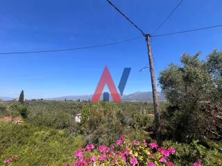 Messini,  GR