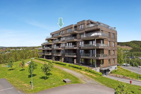 Solhøgdavegen 45, Lillehammer
