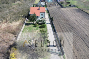 Konin