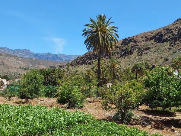San Bartolomé de Tirajana,  ES