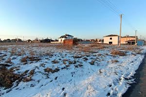 Теніста