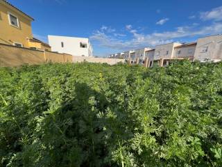 Jerez de la Frontera,  ES