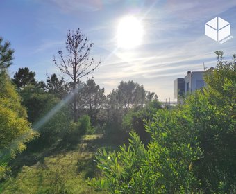 Vila Verde,  PT