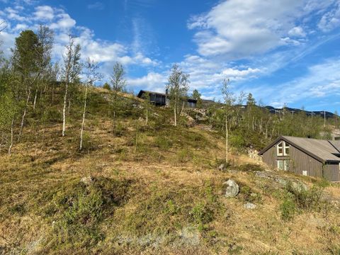 Tranebærvegen 3, Moen