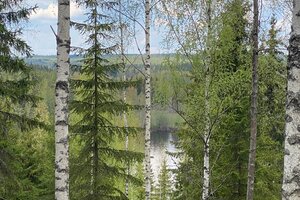 Riukusalmentie 313d, Talviainen, Orivesi