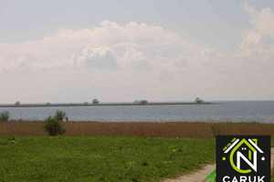 Wolin
