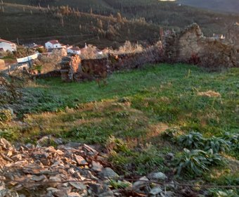 Pampilhosa da Serra,  PT