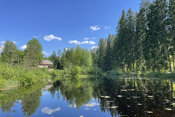 cottage for sale - Märdi, Saarlasõ, Rõuge vald, Võrumaa