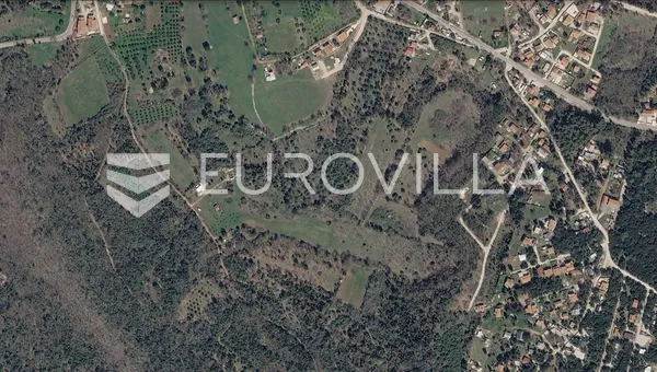 Pavićini