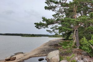 Pihlavakarin saari, 23360 KUSTAVI