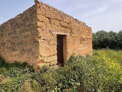 Bagheria,  IT